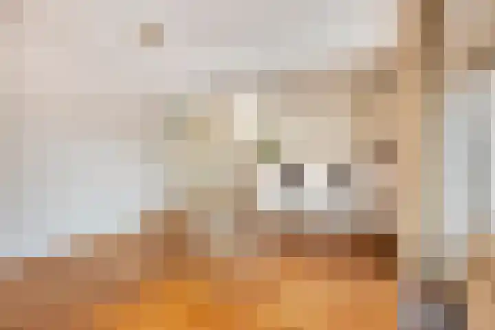 Pijperpad 40 Soest thumbnail 5