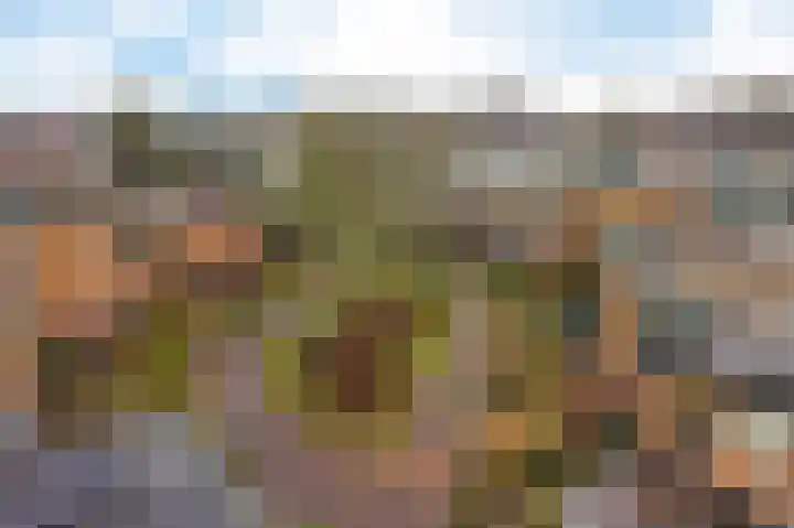 Pijperpad 58 Soest thumbnail 21