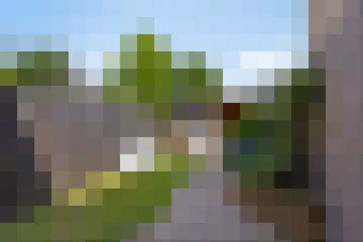 Pijperpad 68 Soest thumbnail 24