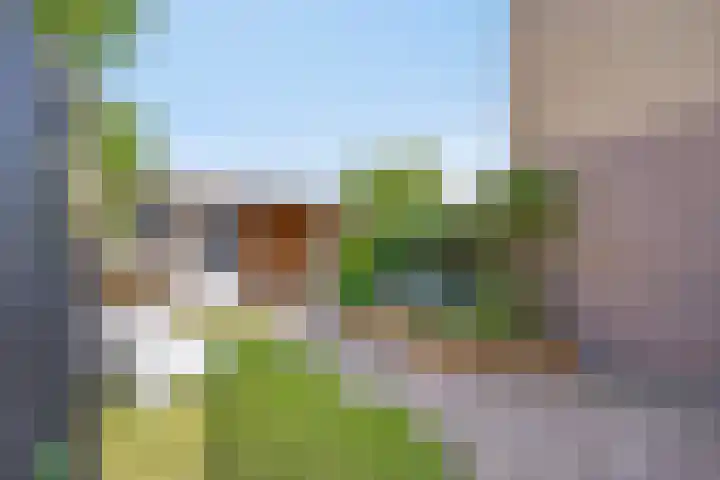 Pijperpad 68 Soest thumbnail 25