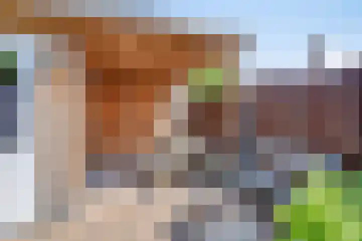 Pijperpad 68 Soest thumbnail 26