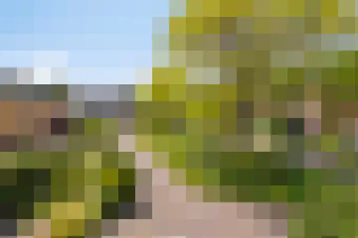 Pijperpad 68 Soest thumbnail 27