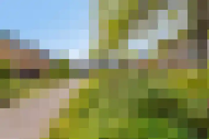 Pijperpad 68 Soest thumbnail 28