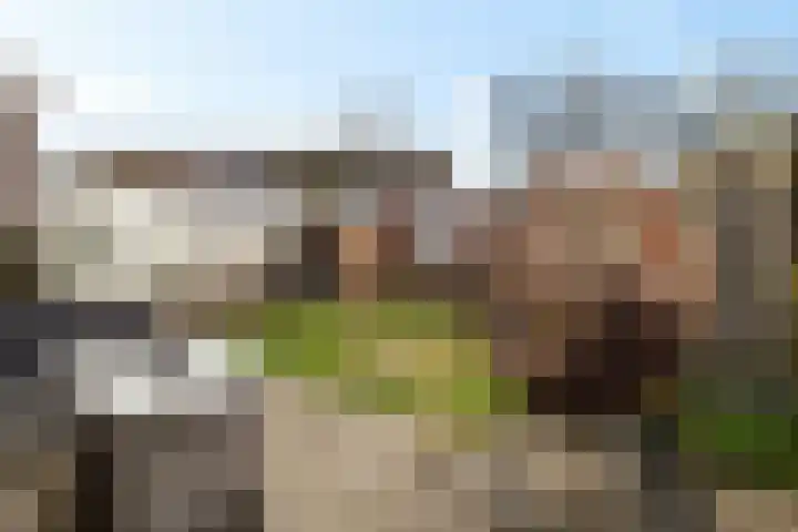 Pijperpad 73 Soest thumbnail 18