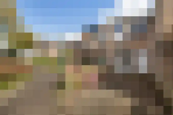 Pijperpad 73 Soest thumbnail 19