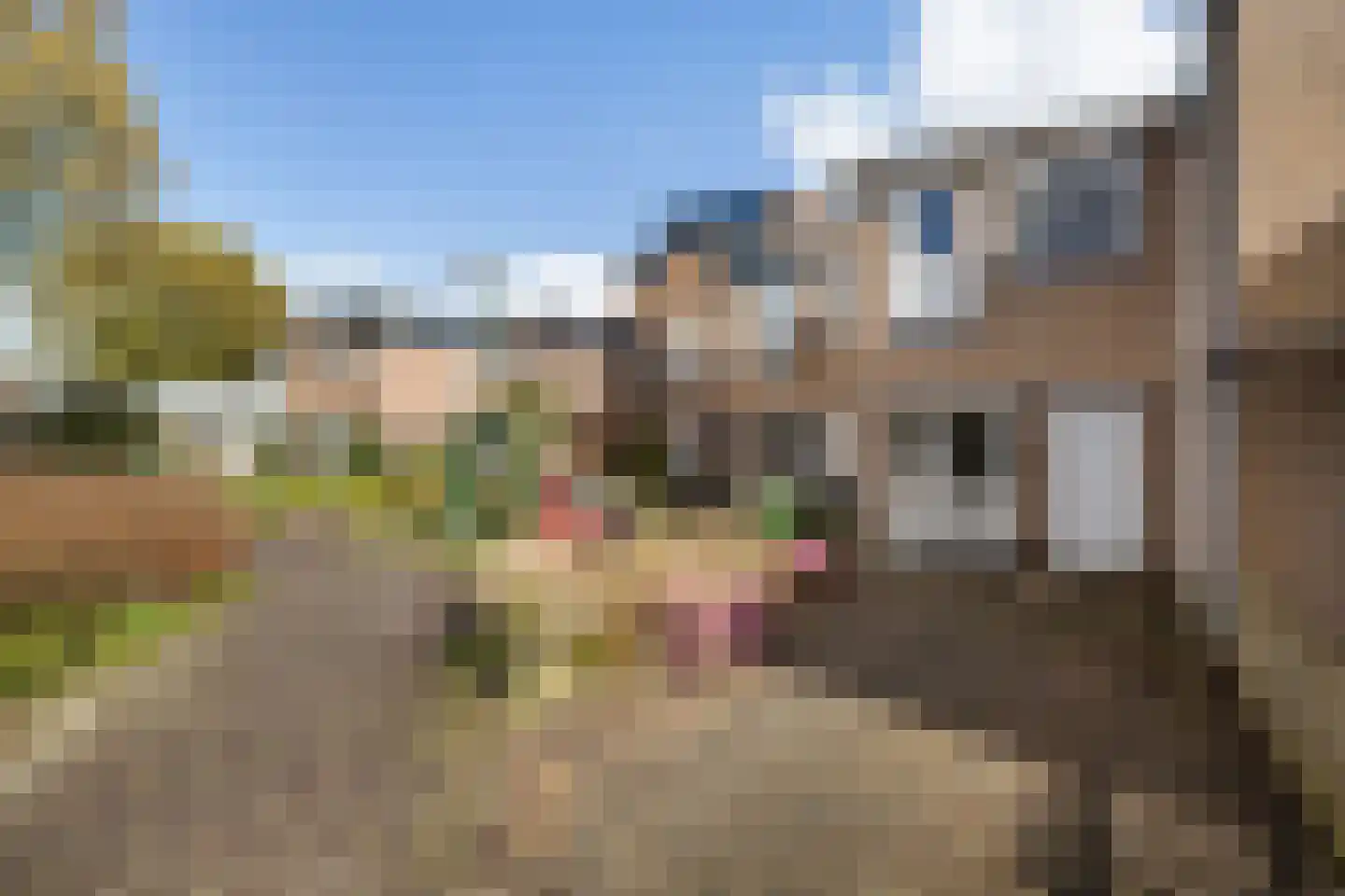Pijperpad 73 Soest thumbnail 19