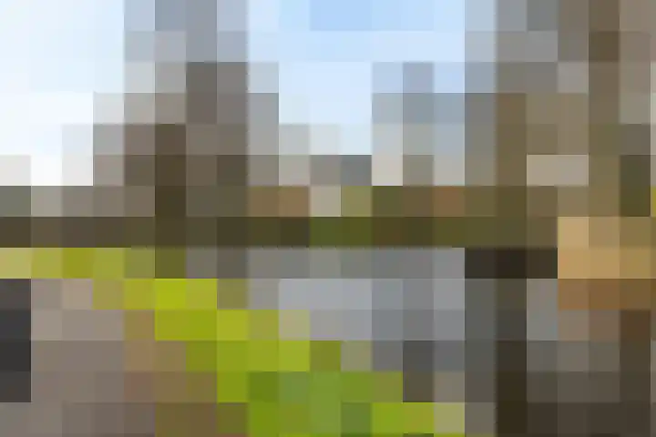 Pijperpad 73 Soest thumbnail 20