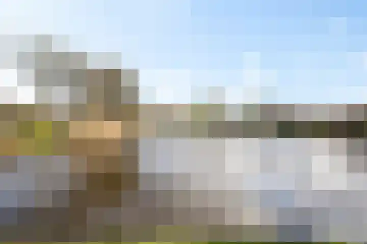 Pijperpad 73 Soest thumbnail 21
