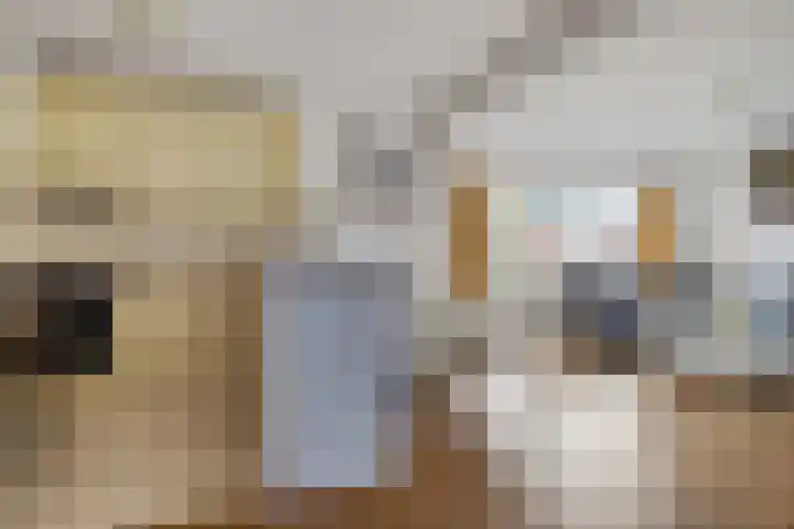 Pijperpad 73 Soest thumbnail 7