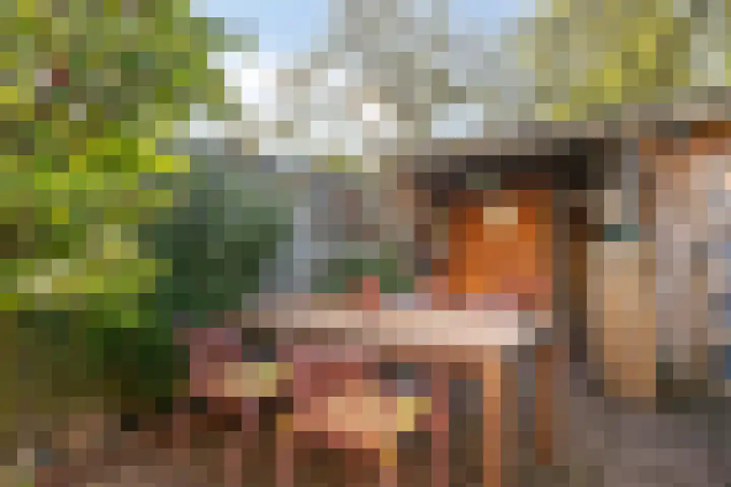 Pijperpad 77 Soest thumbnail 31