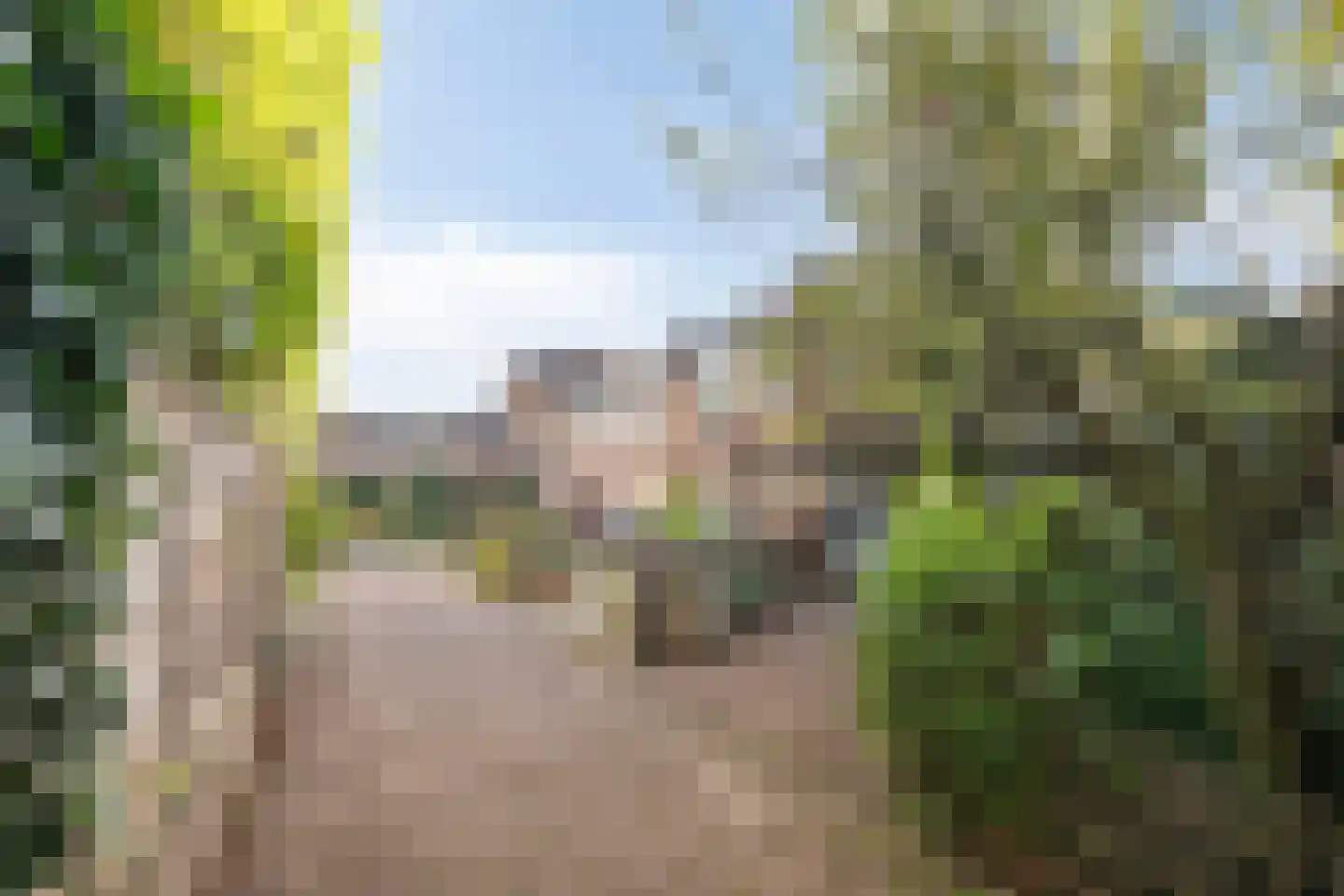 Pijperpad 77 Soest thumbnail 35
