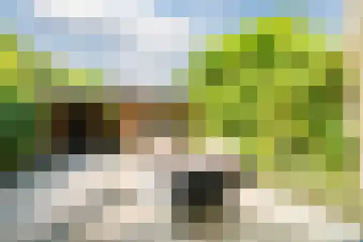Pijperpad 9 Soest thumbnail 20