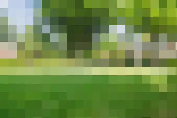 Pijperpad 9 Soest thumbnail 27