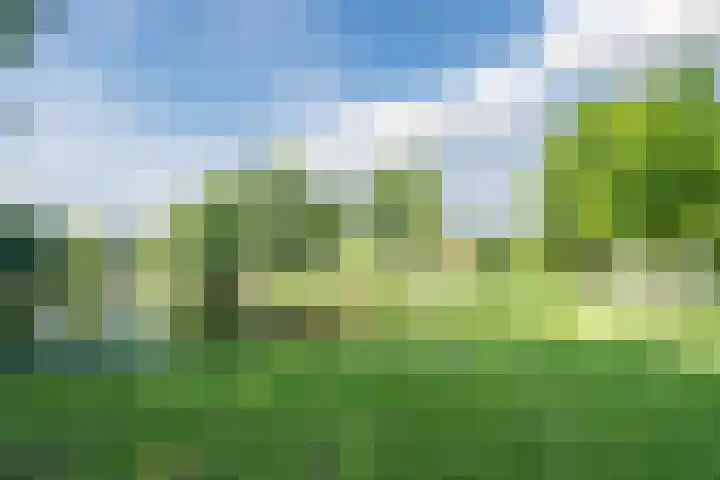 Pijperpad 9 Soest thumbnail 29