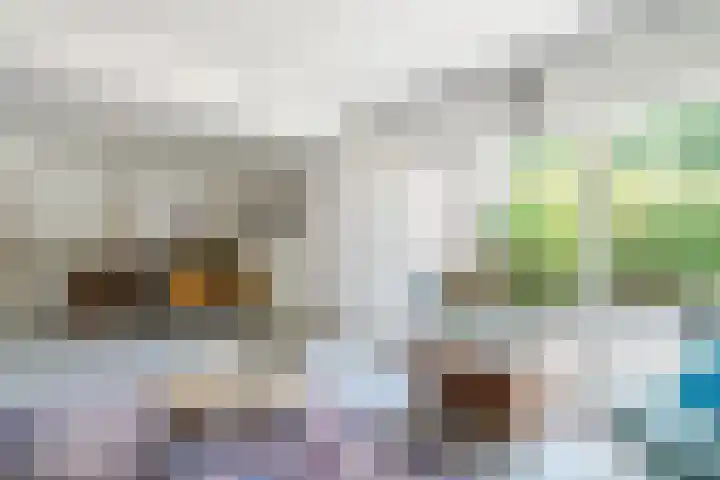 Pijperpad 9 Soest thumbnail 5