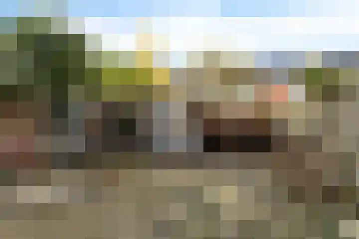 Pijperpad 91 Soest thumbnail 19