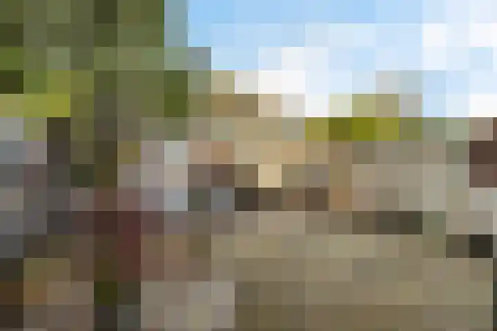 Pijperpad 91 Soest thumbnail 20