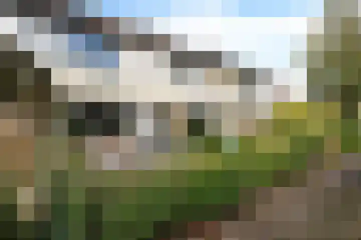 Pijperpad 91 Soest thumbnail 21