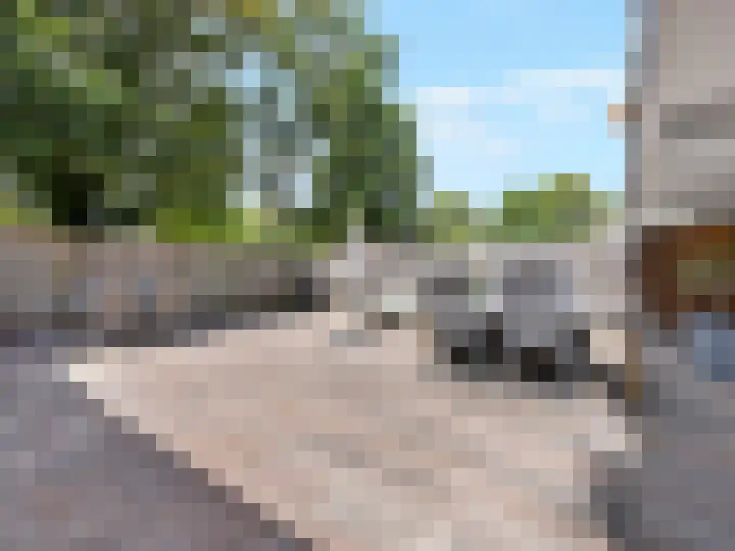 Pijperring 176 Delft thumbnail 15