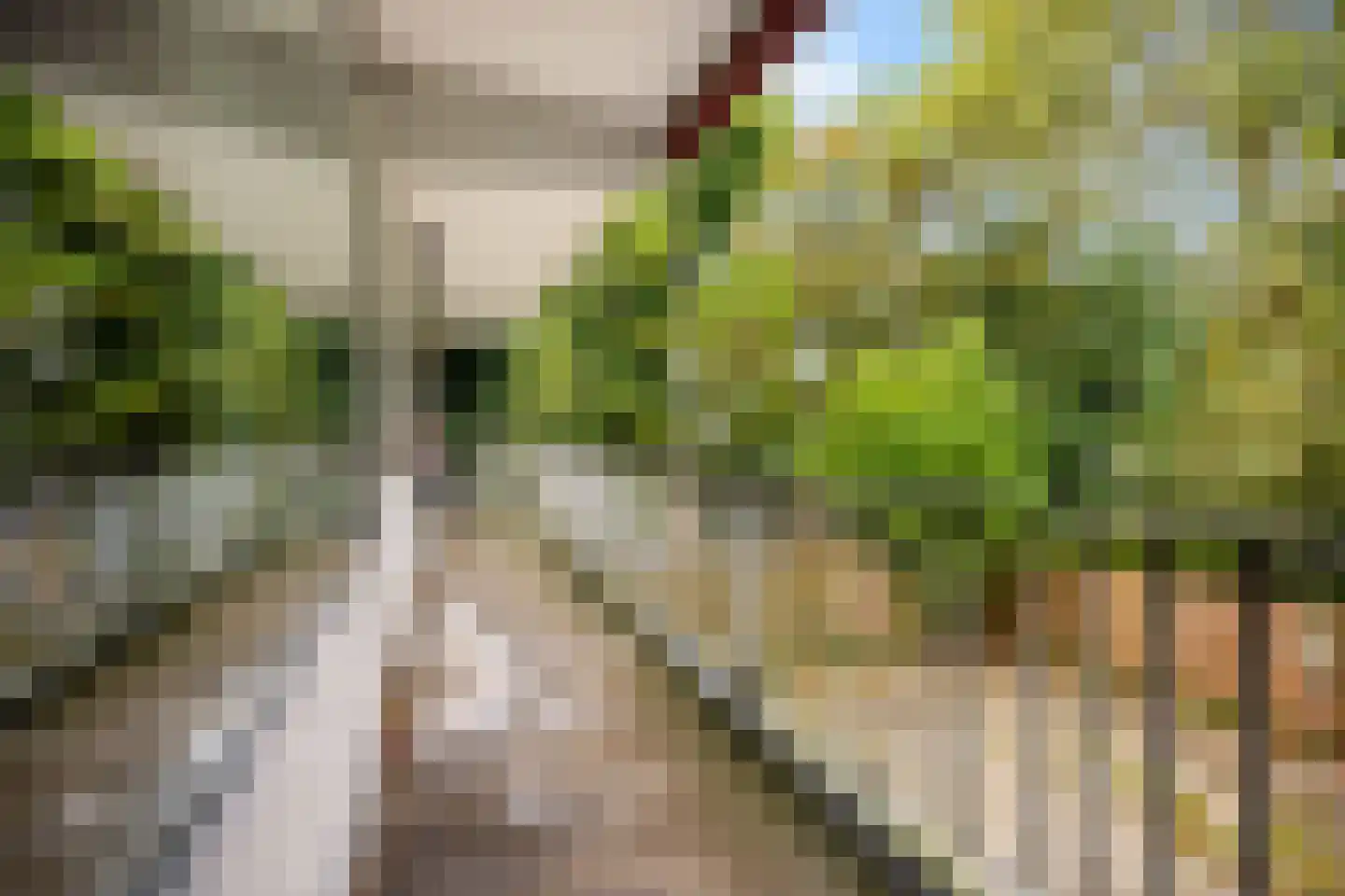 Pijperring 181 Delft thumbnail 18