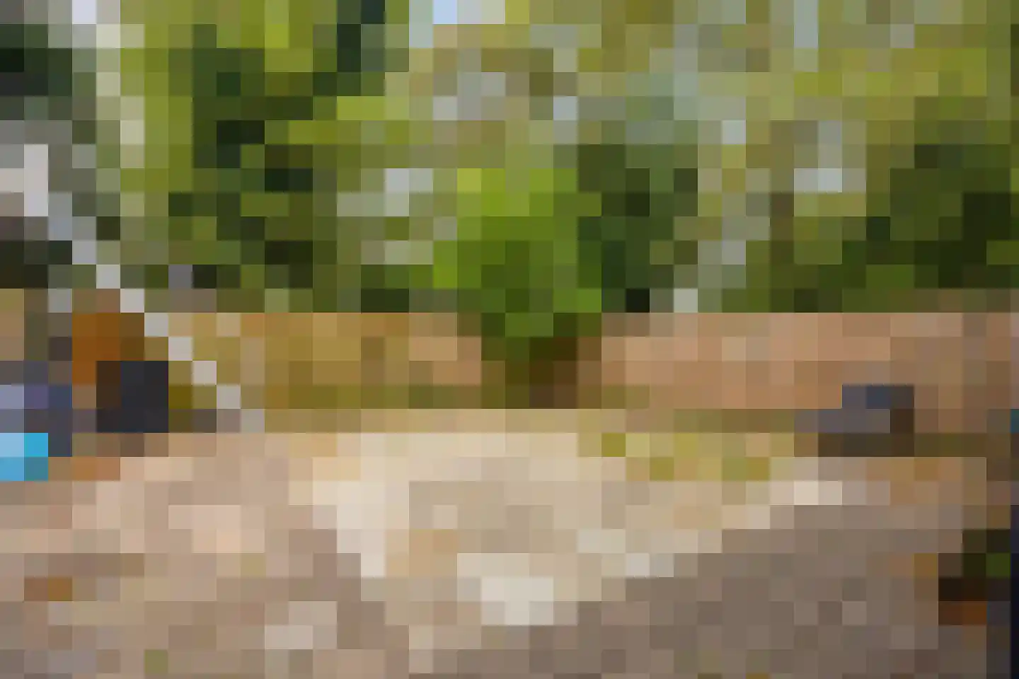 Pijperring 181 Delft thumbnail 21