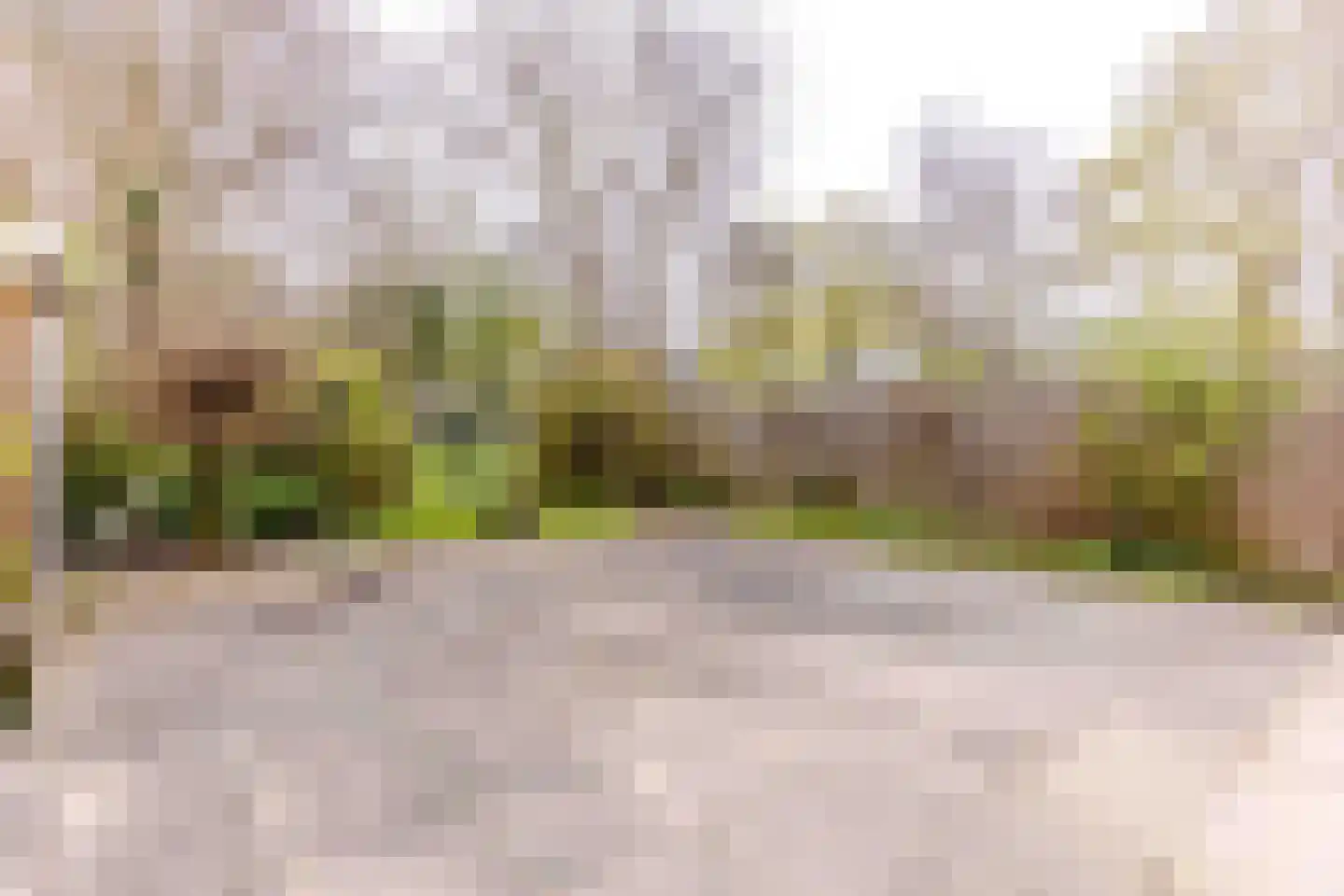 Pijperring 288 Delft thumbnail 12