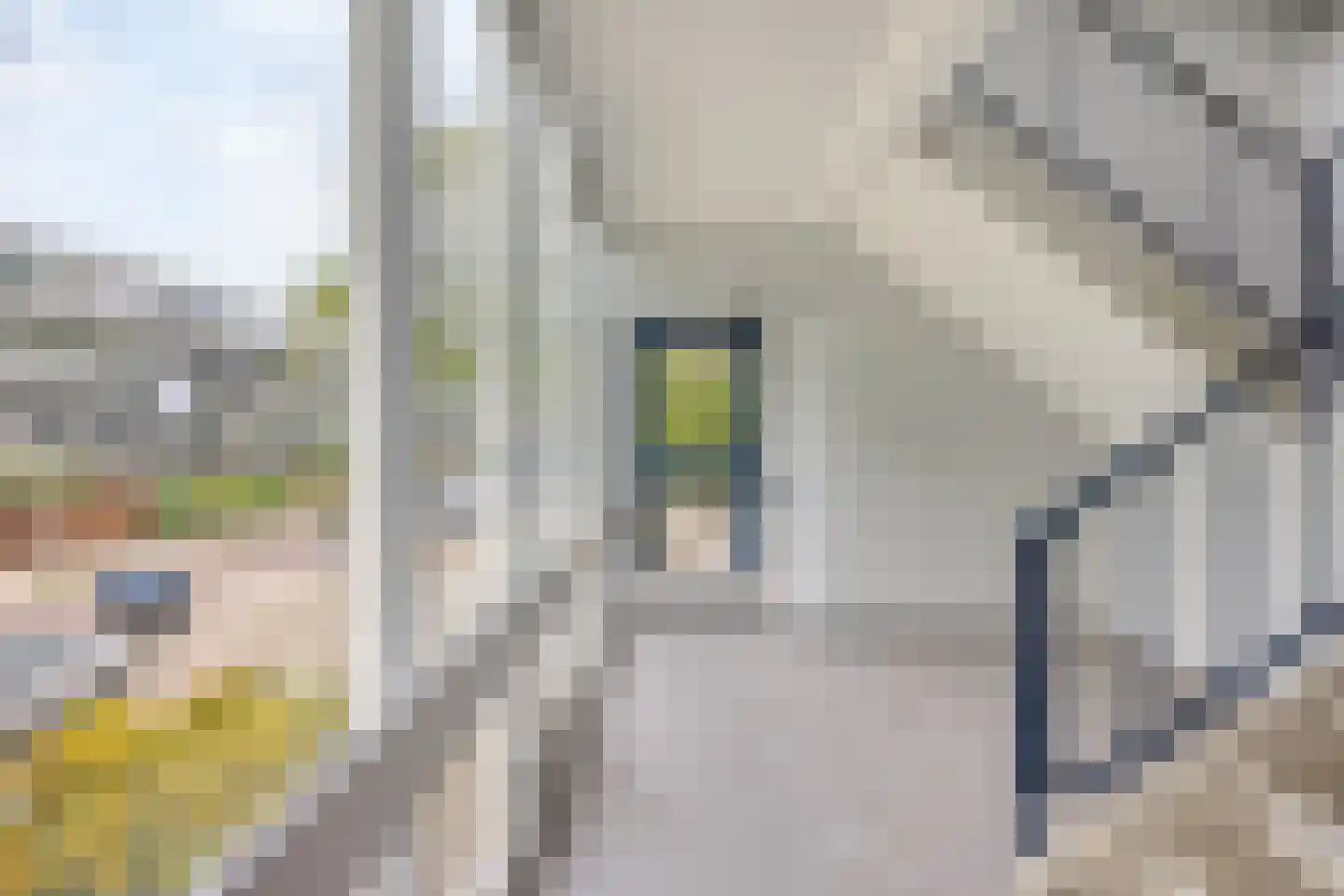 Pijperring 292 Delft thumbnail 4