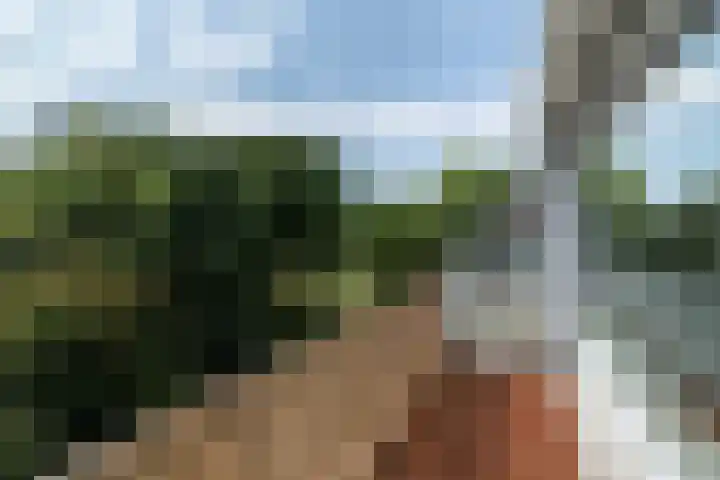 Pijperring 331 Delft thumbnail 19