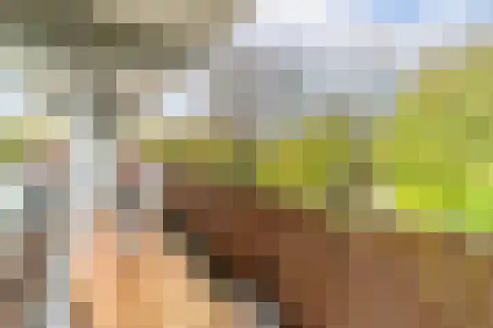 Pijperring 85 Delft thumbnail 7