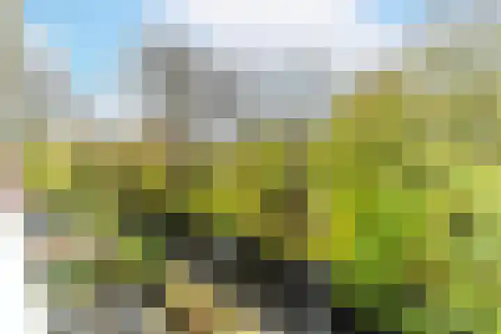 Pijperring 85 Delft thumbnail 8