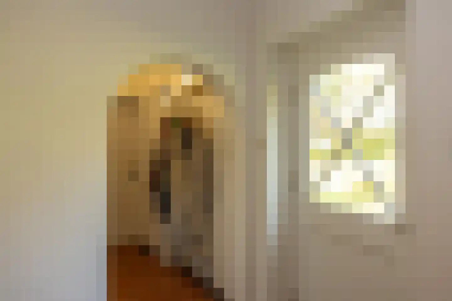 Pijpersdijk 6 De Koog thumbnail 22