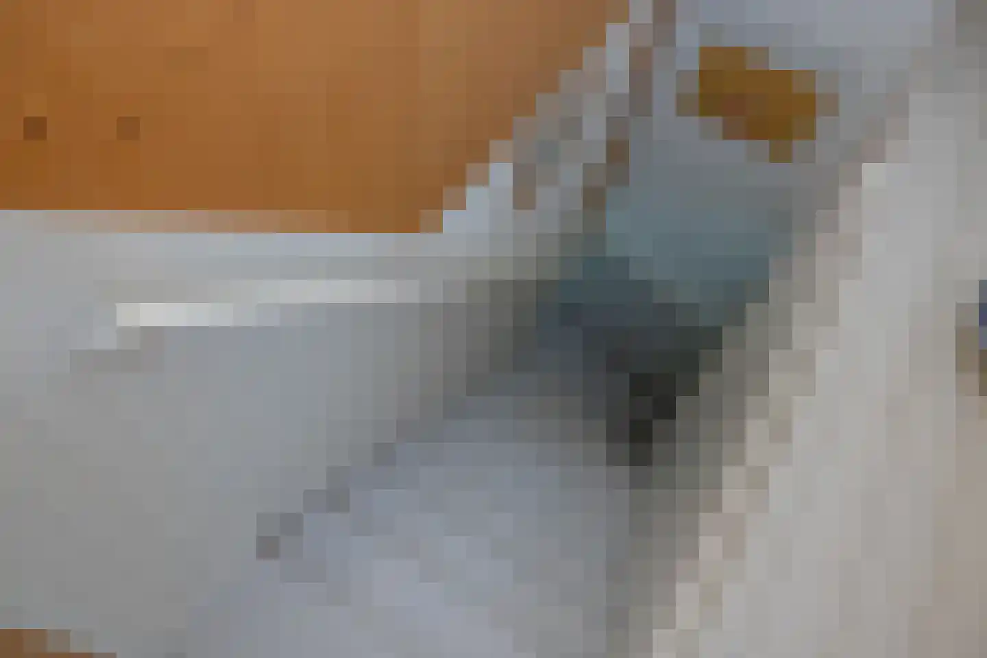 Pijpersdijk 6 De Koog thumbnail 25