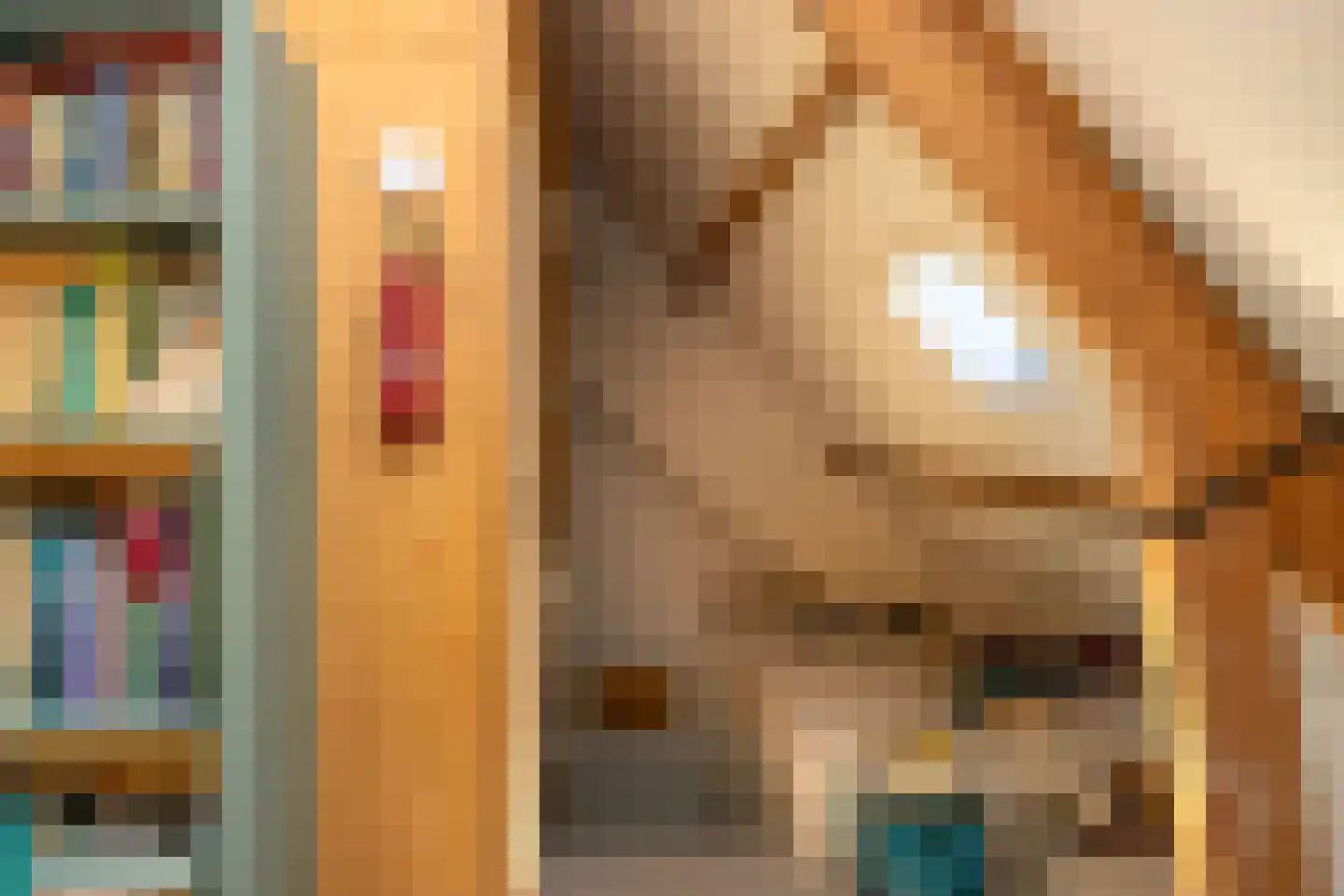 Pijpersdijk 6 De Koog thumbnail 26