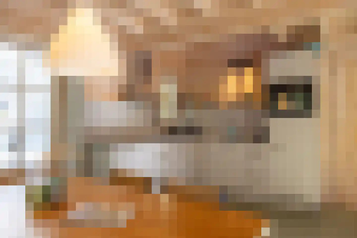 Pijpersdijk 6 De Koog thumbnail 39