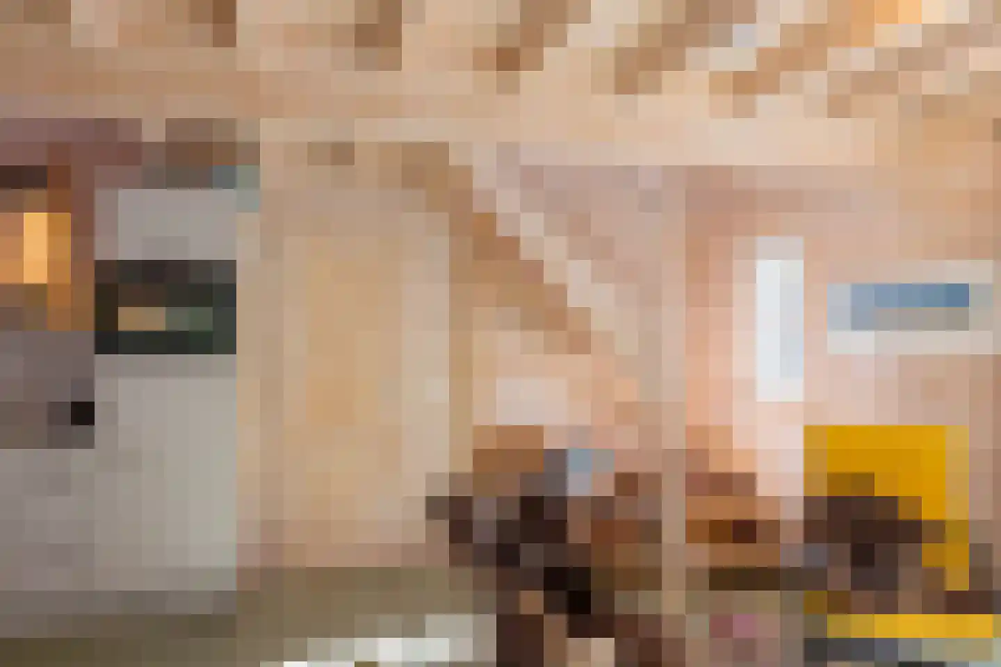Pijpersdijk 6 De Koog thumbnail 40
