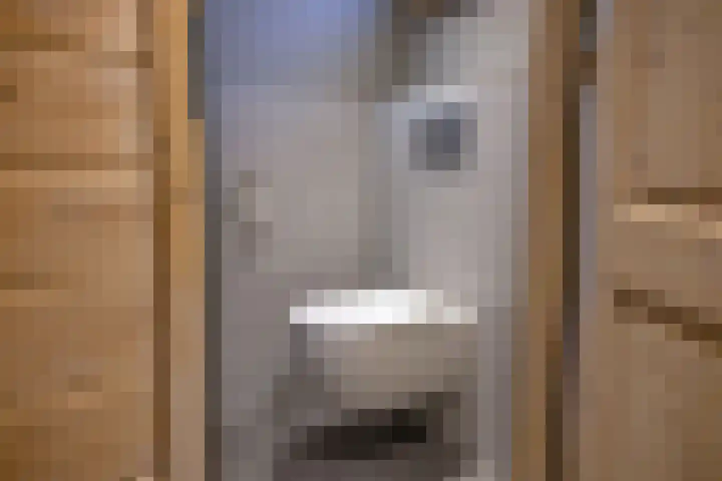 Pijpersdijk 6 De Koog thumbnail 43