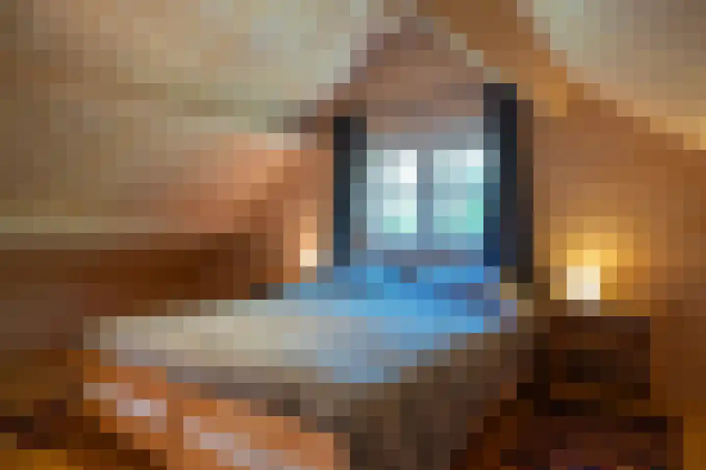Pijpersdijk 6 De Koog thumbnail 45