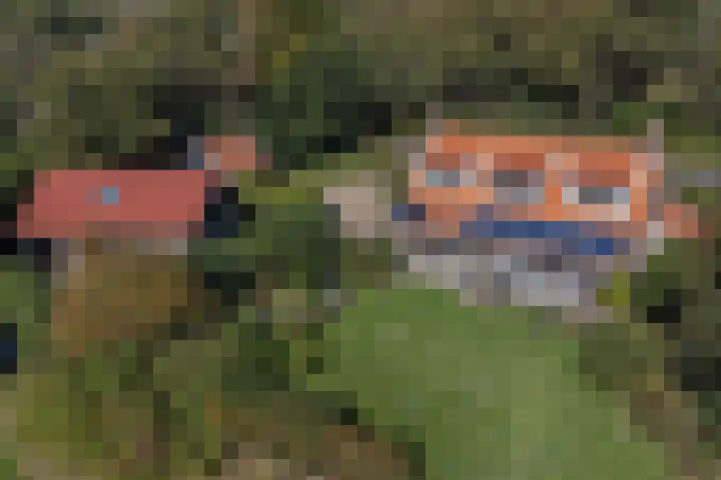 Pijpersdijk 6 De Koog thumbnail 47