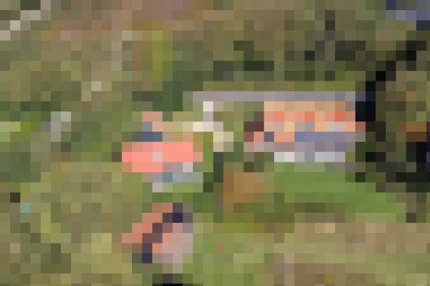 Pijpersdijk 6 De Koog thumbnail 5