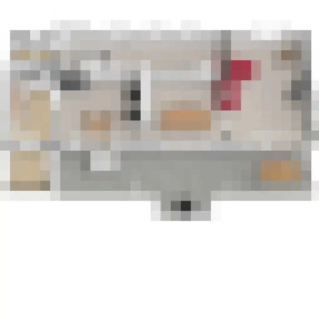 Pijpersdijk 6 De Koog thumbnail 52