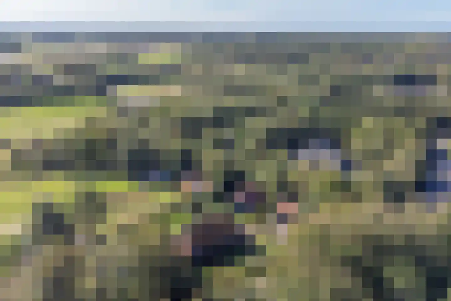 Pijpersdijk 6 De Koog thumbnail 6