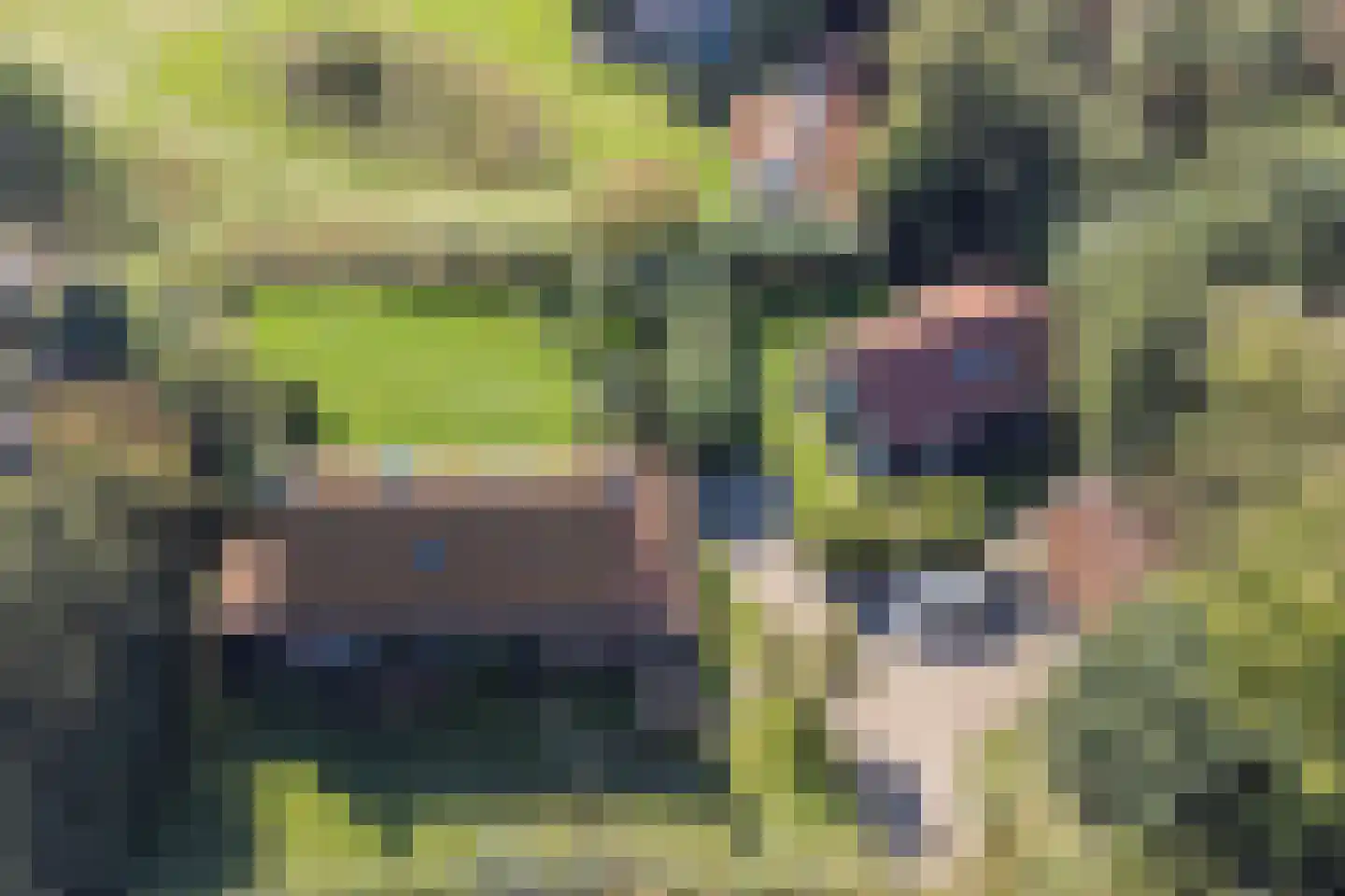 Pijpersdijk 6 De Koog thumbnail 7