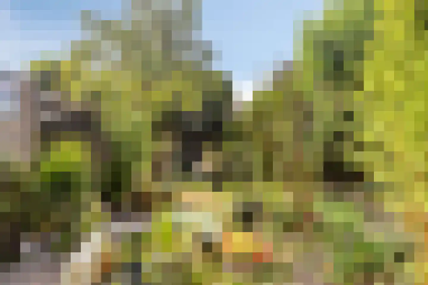 Pijperstraat 7 Haaksbergen thumbnail 30