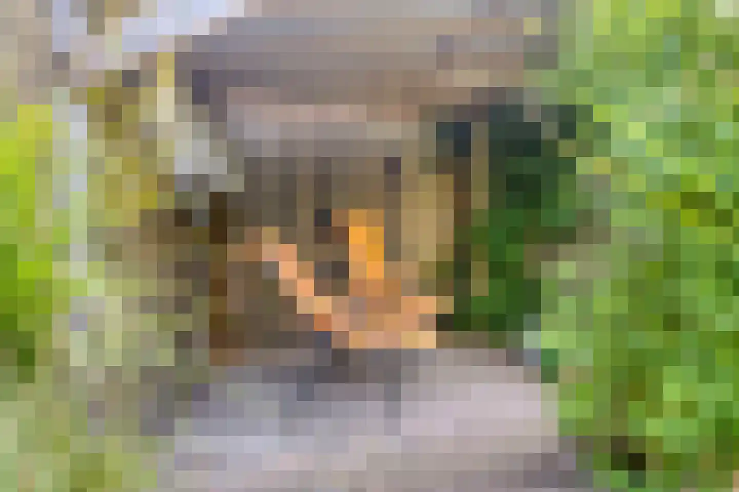 Pijperstraat 7 Haaksbergen thumbnail 32