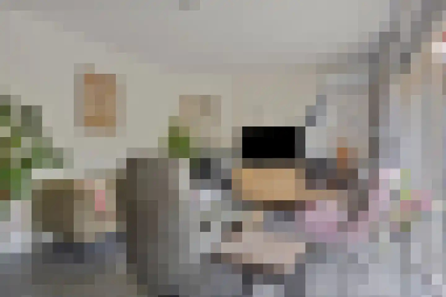 Pijperstraat 7 Haaksbergen thumbnail 9