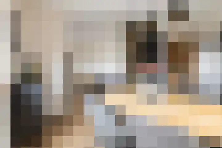 Pijpestro 13 Erica thumbnail 10