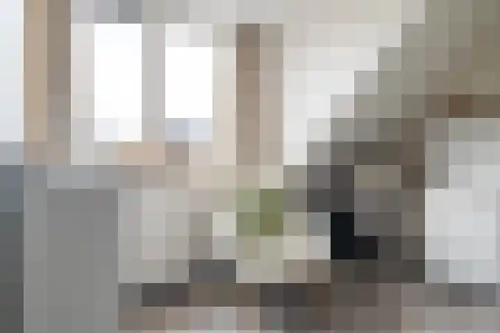 Pijpestro 13 Erica thumbnail 25