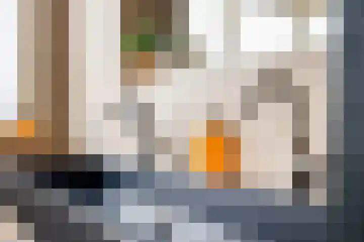 Pijpestro 13 Erica thumbnail 29