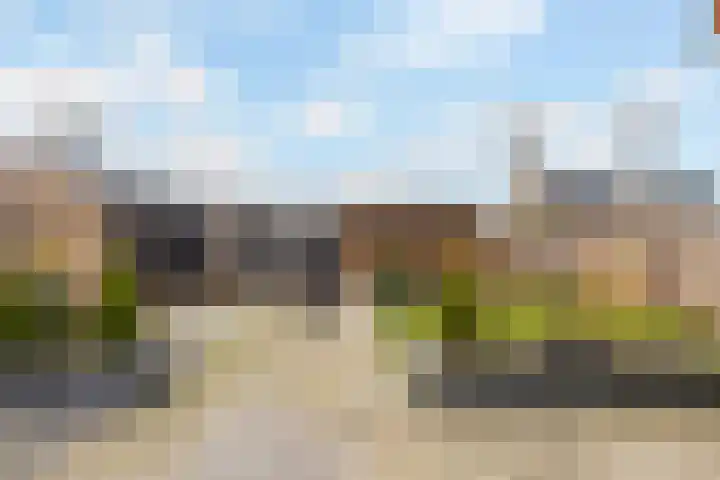 Pijpestro 13 Erica thumbnail 32