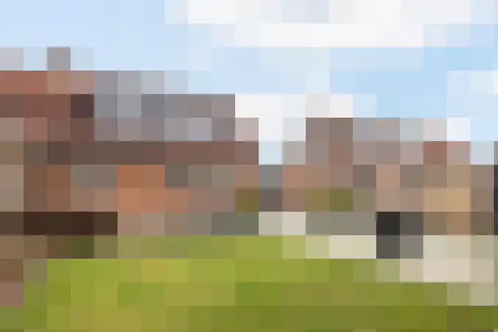 Pijpestro 13 Erica thumbnail 33